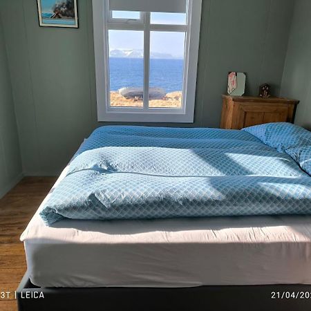Happy-Cove Guesthouse - By The Sea Bakkafjorthur Екстериор снимка