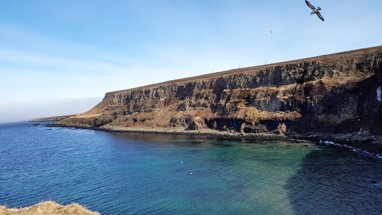 Happy-Cove Guesthouse - By The Sea Bakkafjorthur Екстериор снимка