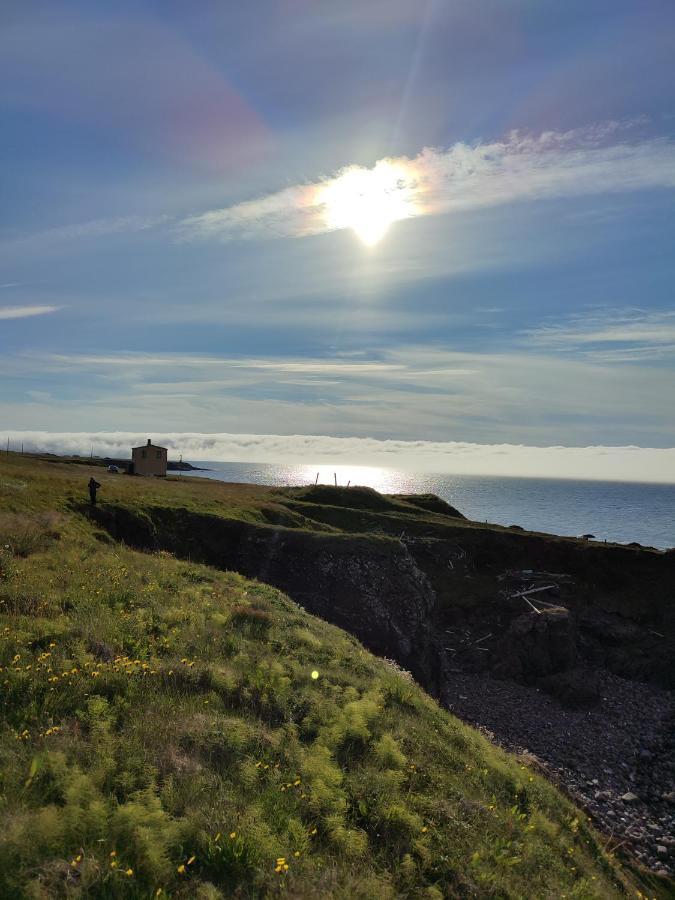 Happy-Cove Guesthouse - By The Sea Bakkafjorthur Екстериор снимка