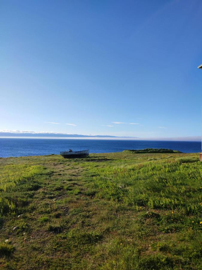 Happy-Cove Guesthouse - By The Sea Bakkafjorthur Екстериор снимка