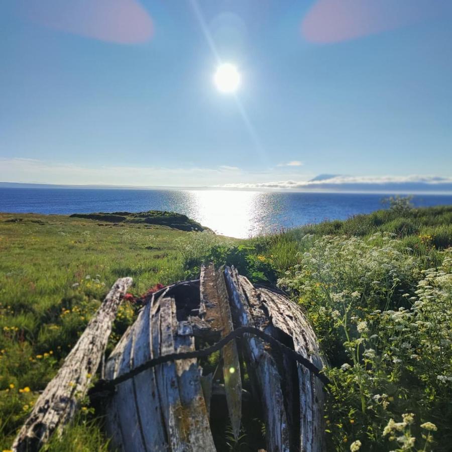 Happy-Cove Guesthouse - By The Sea Bakkafjorthur Екстериор снимка