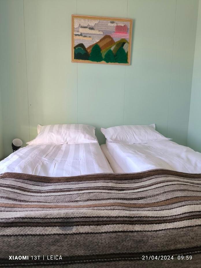 Happy-Cove Guesthouse - By The Sea Bakkafjorthur Екстериор снимка